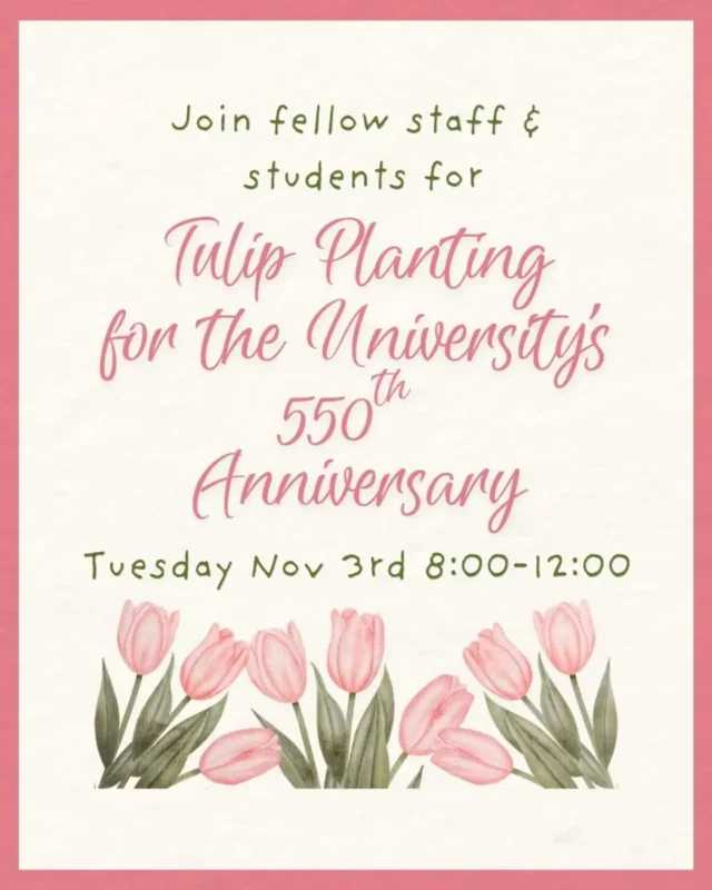 🌿🌺 As part of the celebrations for Uppsala University’s 550th anniversary, a large number of tulip bulbs will be planted on the lawn between Building C and the parking lot facing the sea on Tuesday, November 3.
The planting will take place between 8:00 a.m. and 12:00 p.m. with the help of staff from Region Gotland, but everyone is welcome to join in. Please feel free to stop by for a while to plant and enjoy some coffee and snacks together.
At 10:00 a.m., Jenny Helin and Regional Director Stefan Hollmark will plant tulips and jointly break ground. The event marks the ongoing effort to strengthen relations between Uppsala University and Region Gotland. The tulip bulbs were donated by Region Gotland